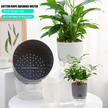 Load image into Gallery viewer, WaterPot™ - Self Watering Water Container for Plants/Flowers