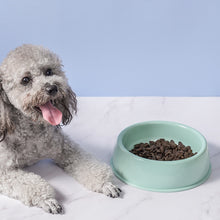 Load image into Gallery viewer, Pet Bowl Automatic Feeder