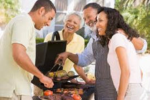 Load image into Gallery viewer, SolarZapper™ 2-in-1 Solar Mosquito Outdoor Lamp